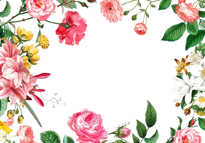 Floral Frame Png Image File (white)