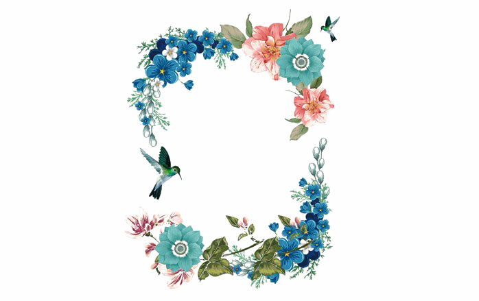 Floral Frame Png Image (white)