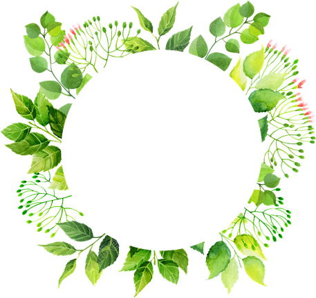 Floral Green Frame Png Transparent Image (black)