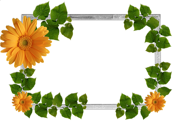 Floral Orange Frame Png Image (black, green, silver)