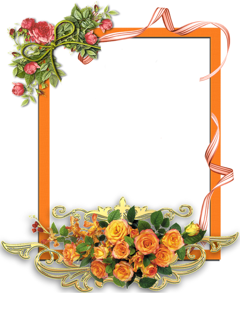 Floral Orange Frame Png (chocolate, black, orange)