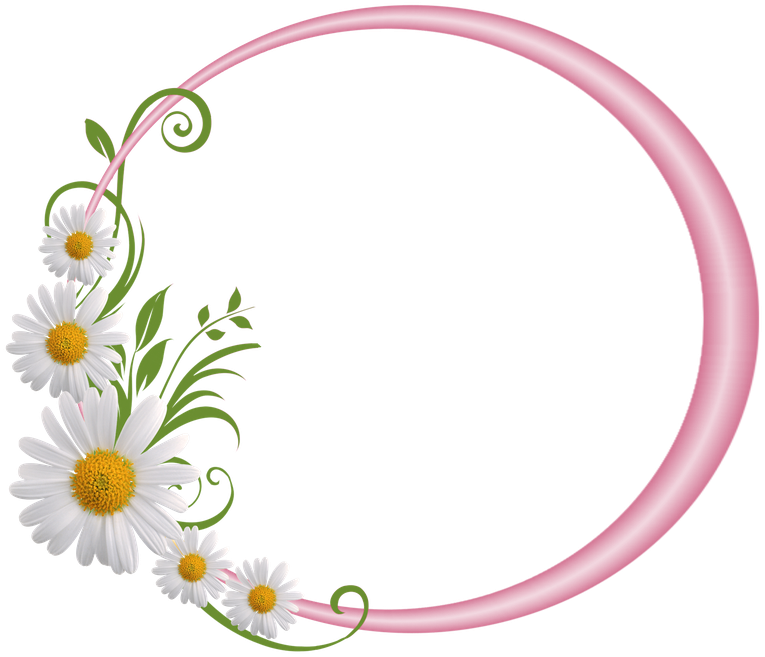 Floral Round Frame Png File (black, pink, plum)