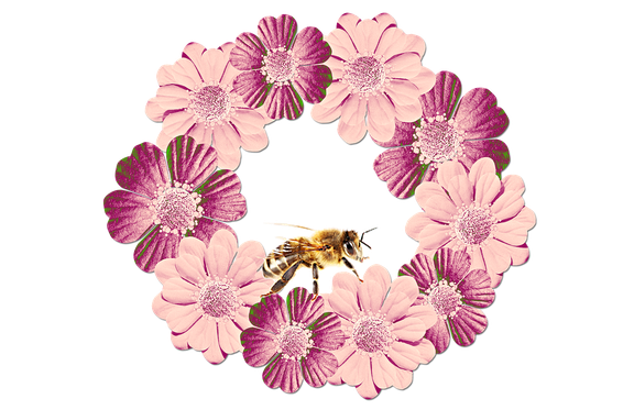 Floral Wreath Png Hd (black, pink)