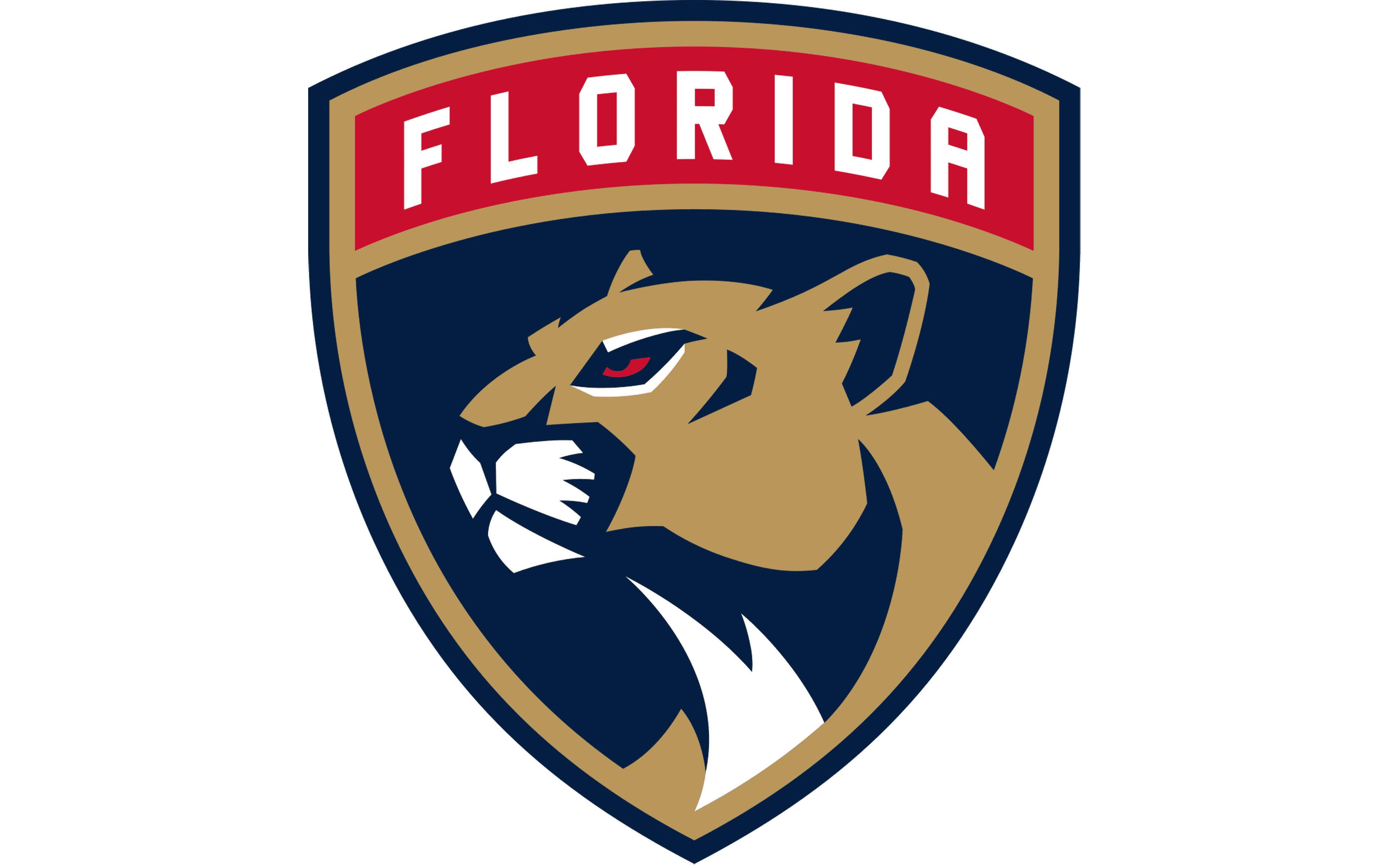 Florida Panthers Png Isolated Hd (salmon, white, gray, navy)