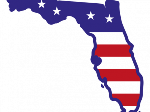 Florida Transparent 300X225 (indigo, black, maroon, red)