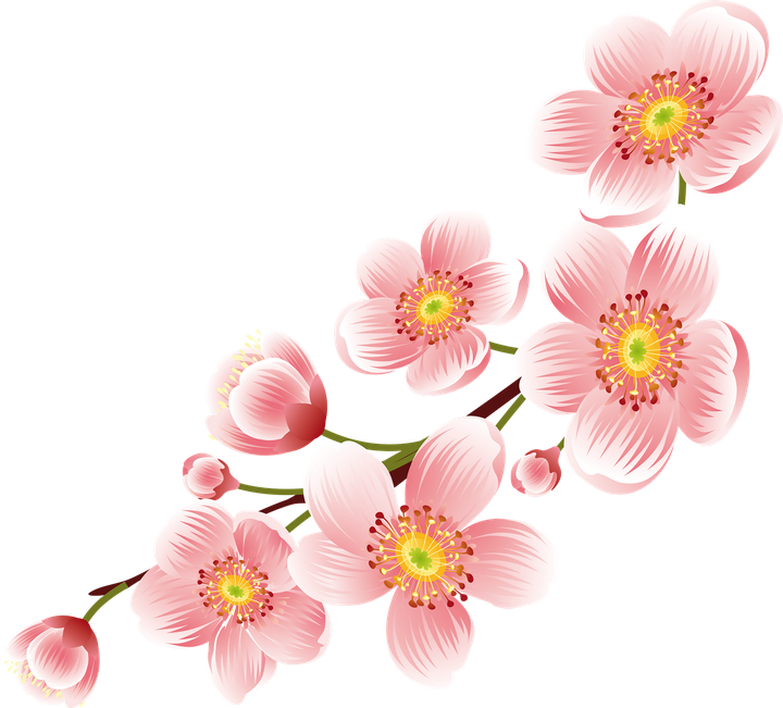 Blossom Flower Cherry Png (white, pink, black, beige)