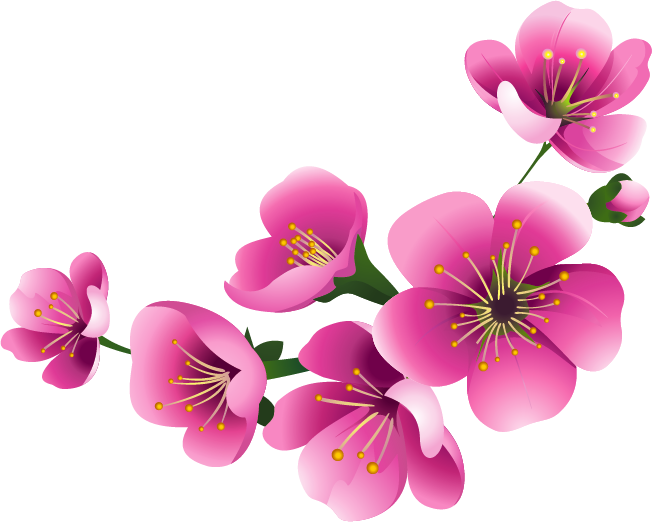 Blossom Flower Clipart Png (purple, black, plum, pink, salmon)