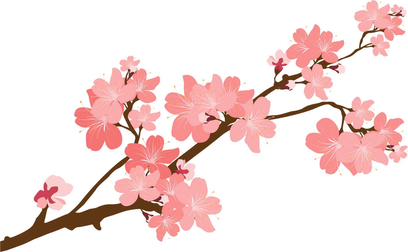 Blossom Flower Vector Clipart Png (pink, maroon, black)