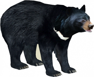 Sloth Bear Png Photo (black)