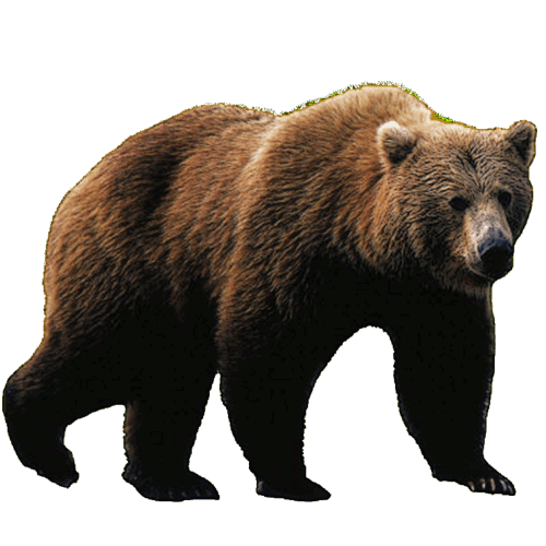 Sloth Bear Png Picture (black, white, olive)