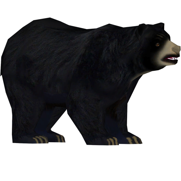 Sloth Bear Transparent Png (black)