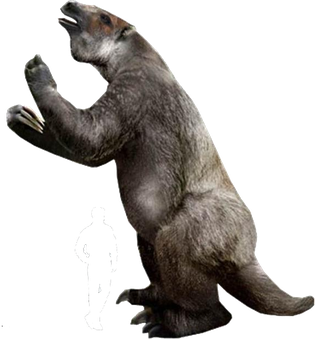 Sloth Download Png Image (black, indigo, gray)