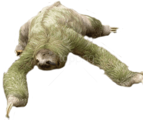 Sloth Png Free Download (black, gray)