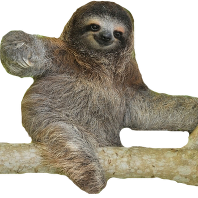 Sloth Png Photo (black, gray)