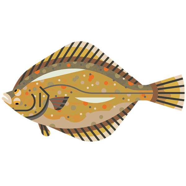 Flounder Png Hd Isolated (black, chocolate, silver)