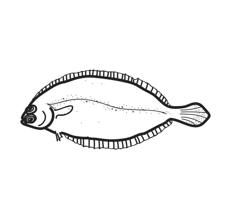 Flounder Png (white, gray, lavender, black, silver)