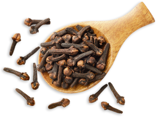 Clove Png Isolated Image (black)