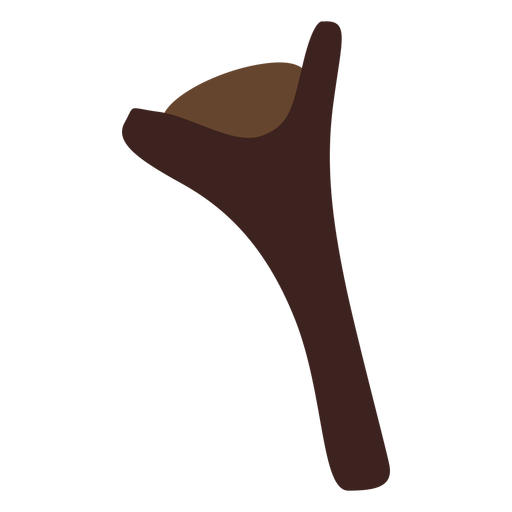 Clove Png Picture (olive, black)