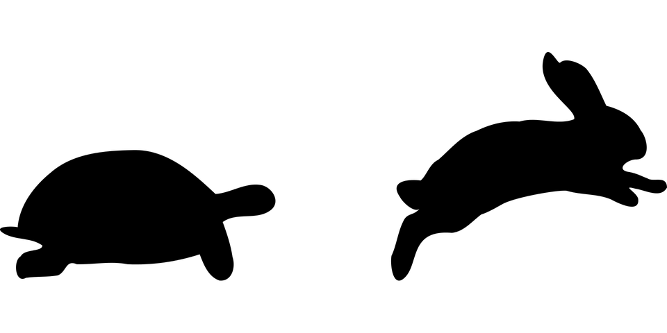 Slow Png Picture (black)