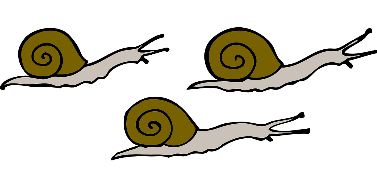 Slow Snail (black, olive, silver)