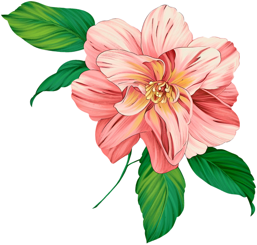 Flower Artwork Png Transparent Image (teal, black, pink, beige)