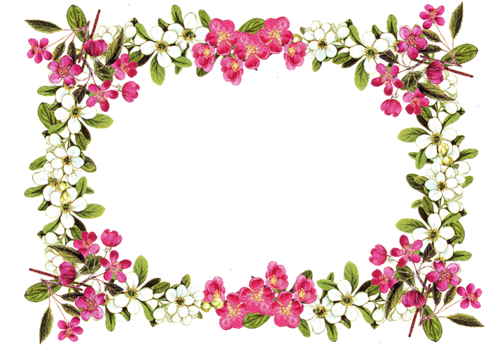 Flower Border Png Isolated Transparent (black, white)