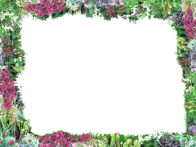 Flower Border Png Transparent Image (black)