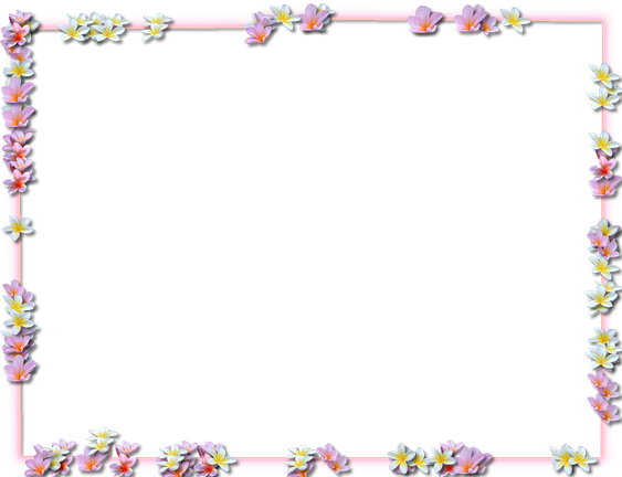 Flower Border Transparent Isolated Png (white, gray, lavender, black, pink)