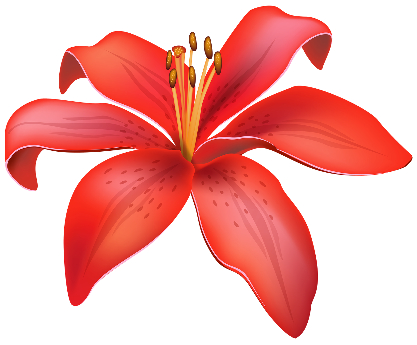 Flower Cartoon Png (black, red, chocolate)