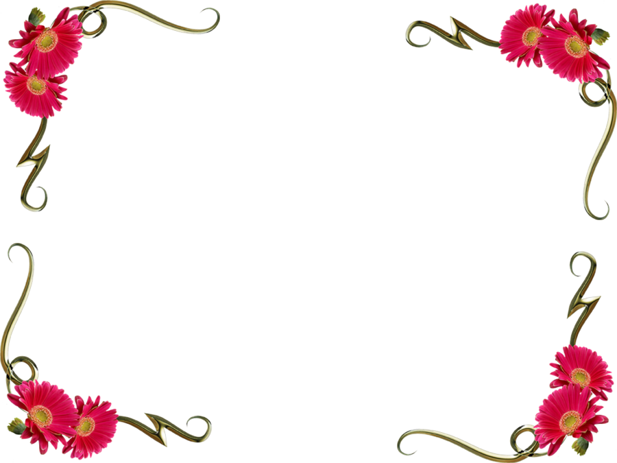 Flower Colorful Png Isolated Photos (black)