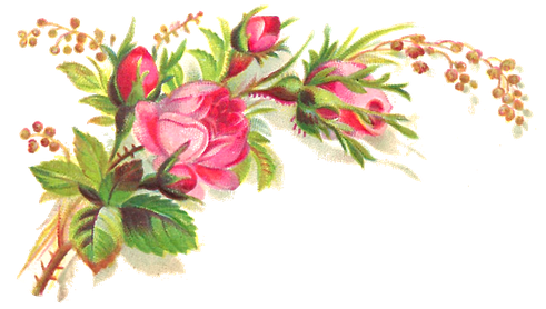 Flower Colorful Png Photo (black)