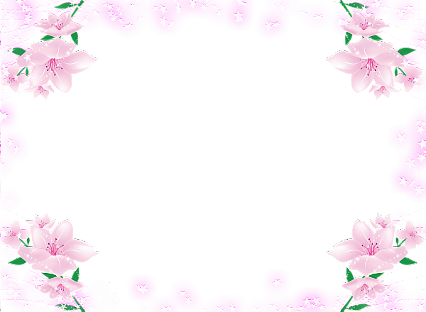 Flower Colorful Png Pic (black, purplish red)