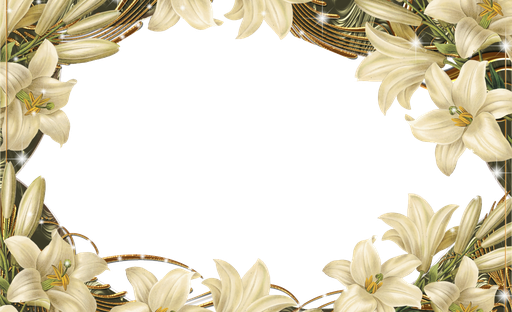 Flower Frame Png File (beige, black, silver, pink)