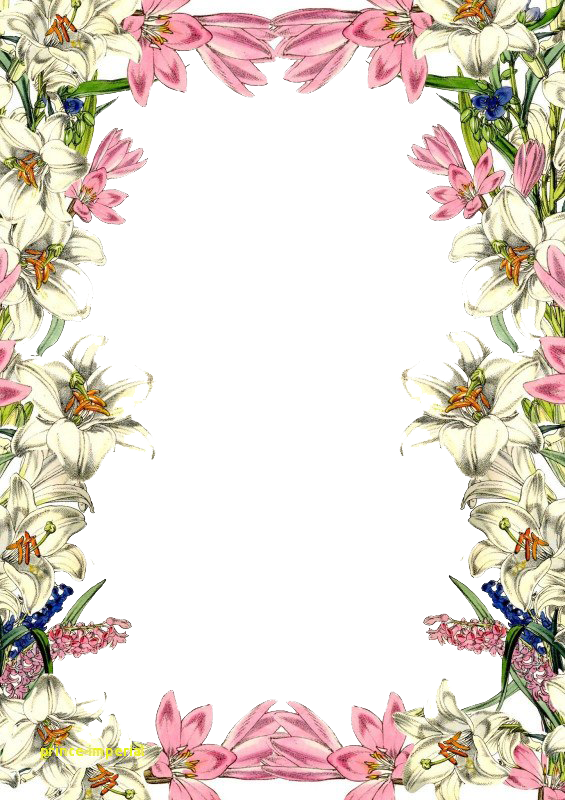 Flower Frame Png Image (beige, white)