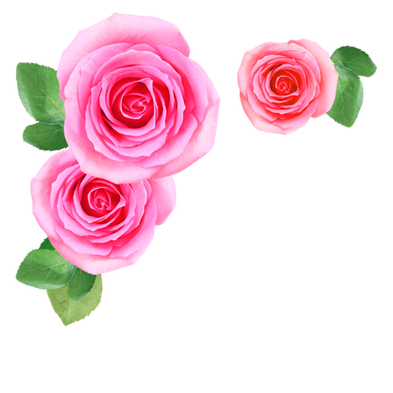 Flower Png Image (black, gray, pink, lavender)