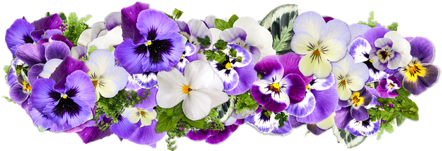 Flower Png Transparent Hd Photo (violet, black, lavender, white)