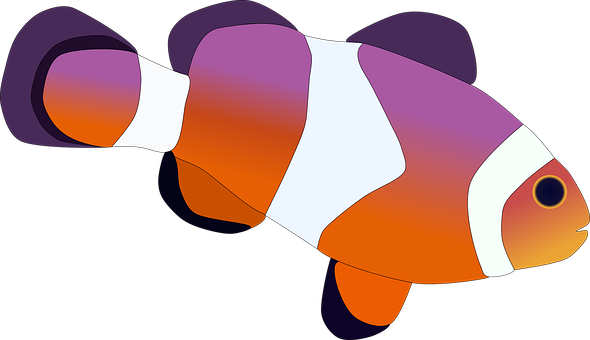 Clown Fish Png Hd (chocolate, indigo, gray, black, white)