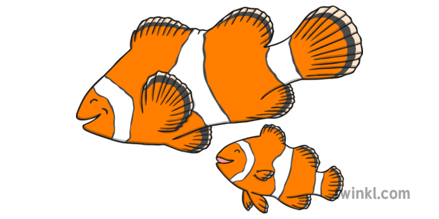 Clown Fish Png Photos (orange, black, white)