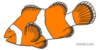 Clown Fish Png Pic (orange, black, white)