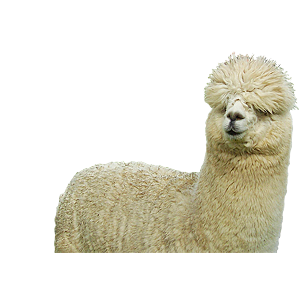 Alpaca Png Free Download (white, silver, gray)