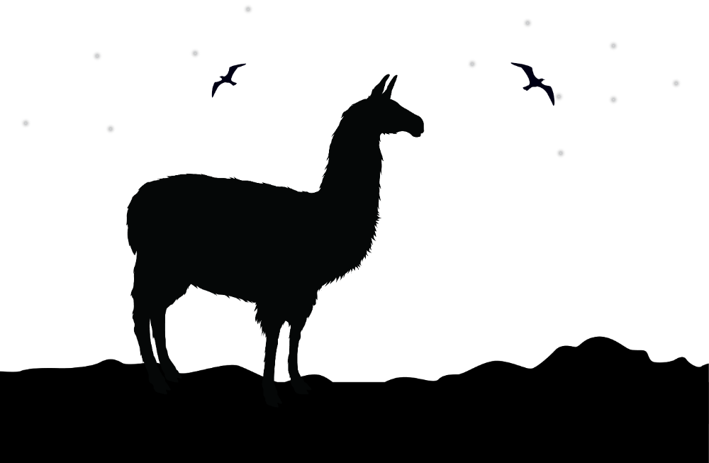 Alpaca Png Hd (white, black)