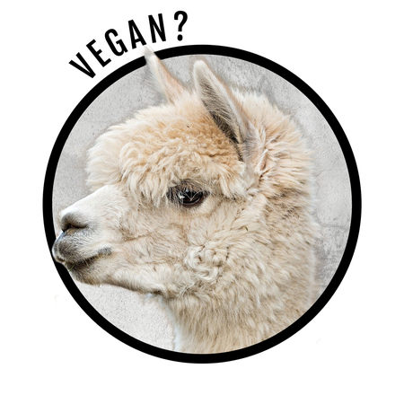 Alpaca Transparent Png (black, silver)