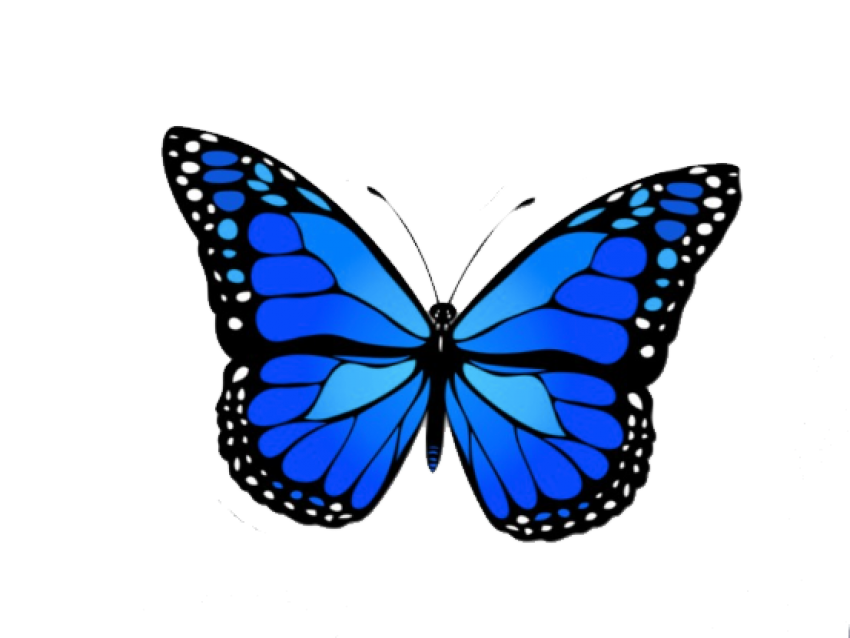 Blue Butterfly Png Image (blue, black)