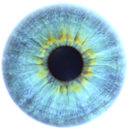 Blue Eyes Transparent Background (black)