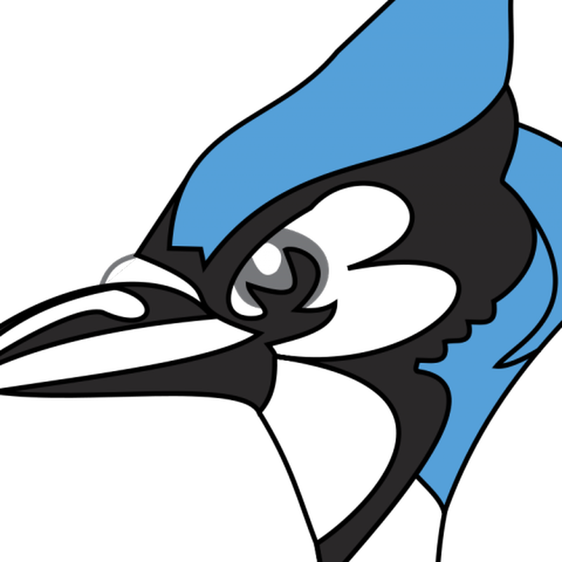 Blue Jay Png Clipart (black, gray)