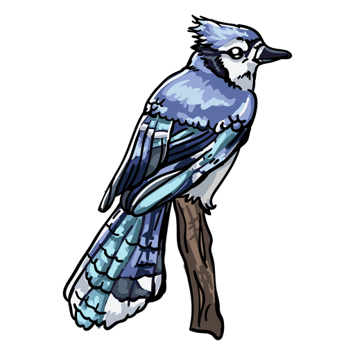 Blue Jay Png Picture (indigo, black, lavender, gray, olive)