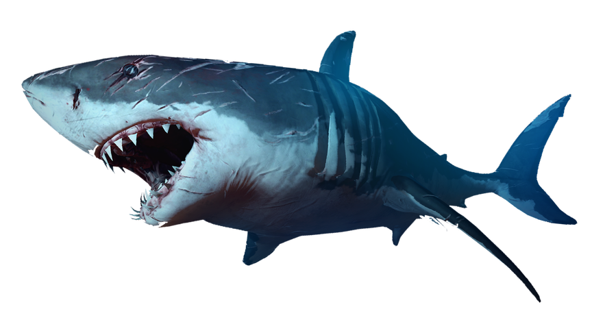 Blue Megalodon Shark Transparent Background (indigo, black)