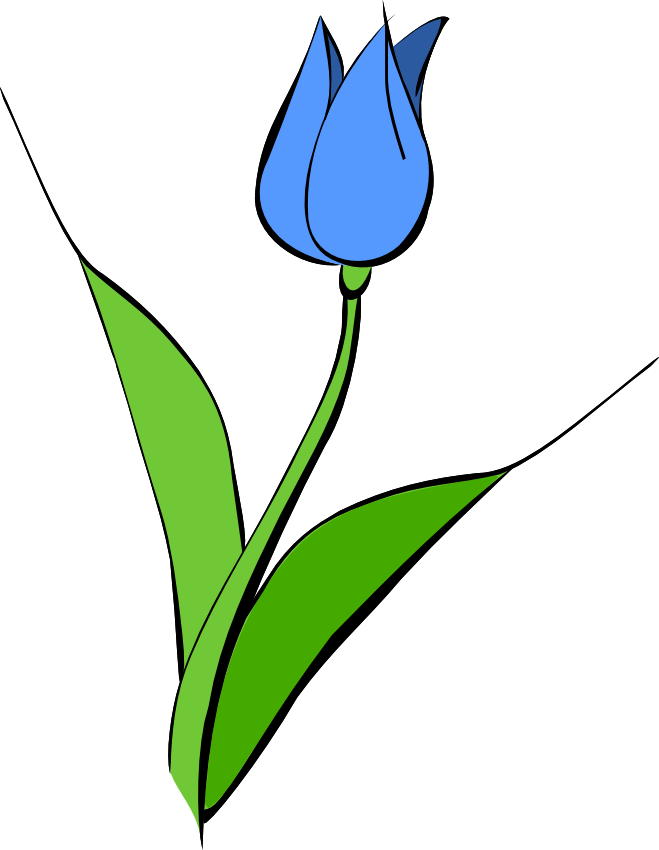 Blue Tulip Png Hd Isolated (olive, silver, white)