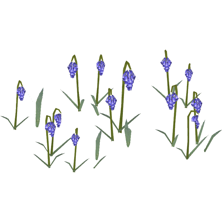 Bluebell Png Transparent (white)