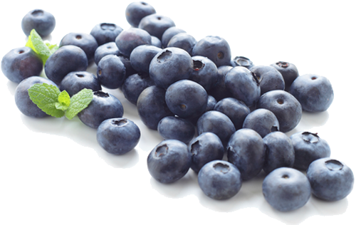 Blueberry Png Clipart (white)